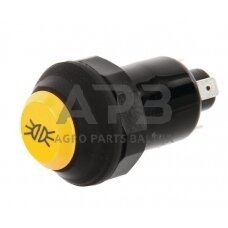 Spaudžiamas jungiklis Pneutron 11130100PN