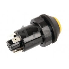 Spaudžiamas jungiklis Pneutron 11145090PN