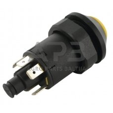 Spaudžiamas jungiklis Pneutron 11175240PN