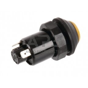 Spaudžiamas jungiklis Pneutron 11110290PN