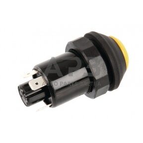 Spaudžiamas jungiklis Pneutron 11130090PN