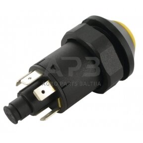 Spaudžiamas jungiklis Pneutron 11175240PN