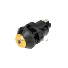 Spaudžiamas jungiklis Pneutron 11245400PN