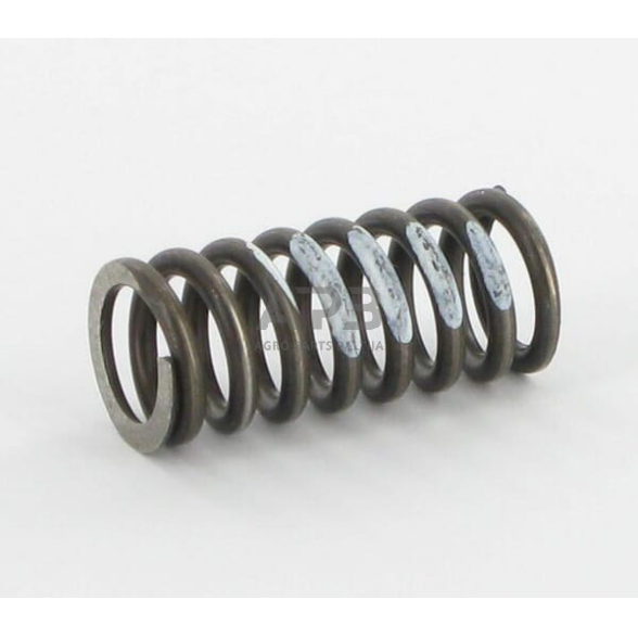 Spyruoklė 1 VMPK 5, 0- 40 BAR, SD95V01