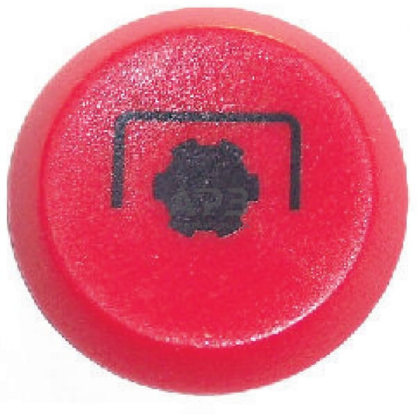 Spaudžiamas jungiklis Pneutron 11145340PN 1