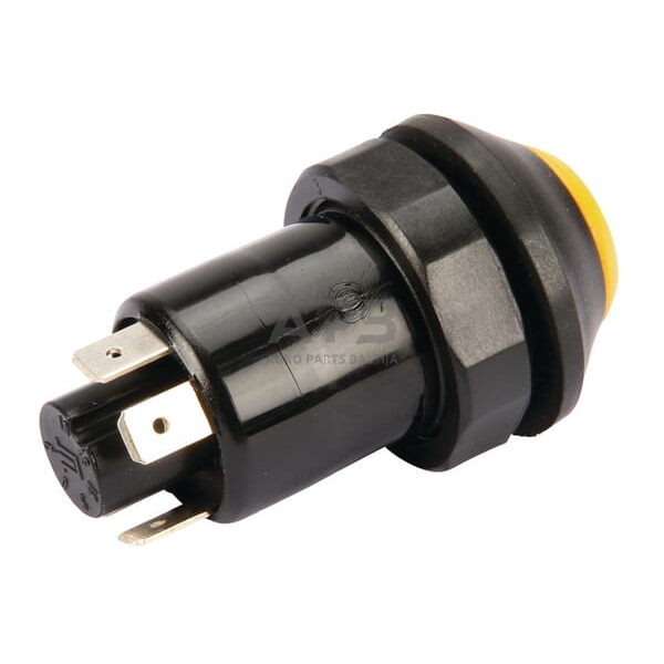 Spaudžiamas jungiklis Pneutron 11245100PN 1