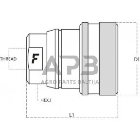 Stabdžių jungtis 1/2" BSP Faster VF012GASF