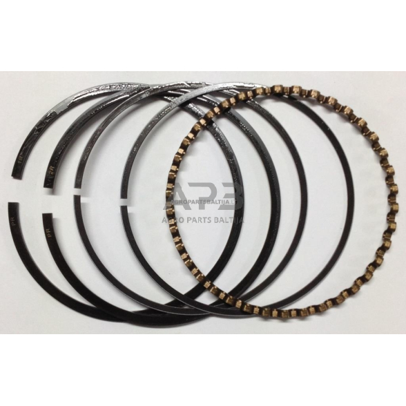 Stūmoklio žiedai Briggs & Stratton išmatavimai 87,60 mm (remontiniai +0,10) nuo 10AG iki 18AG 391781, 394960, 499997. Stūmoklio žiedai Briggs & Stratton išmatavimai 87,60 mm (remontiniai +0,10) nuo 10AG iki 18AG 391781, 394960, 499997.