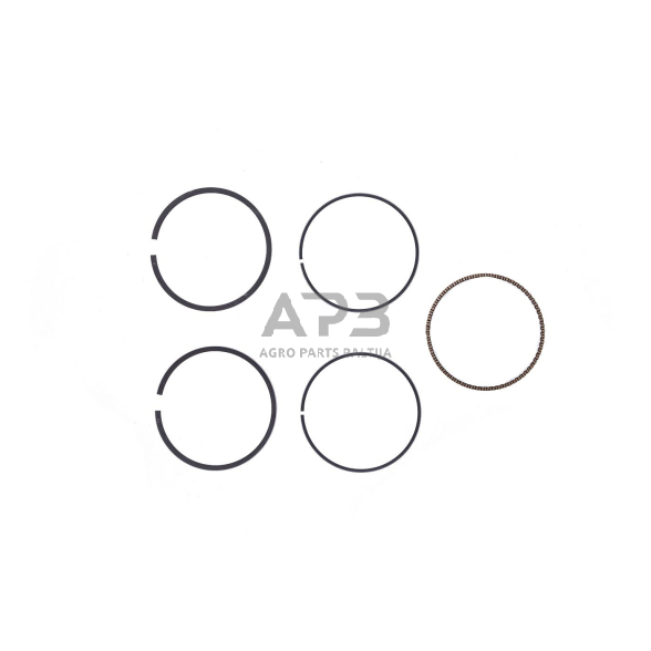 Stūmoklio žiedai HONDA GX270 išmatavimas stūmoklio 77 mm (standartiniai), 13010-ZE8-601, 13010ZE8601, 100003247 2