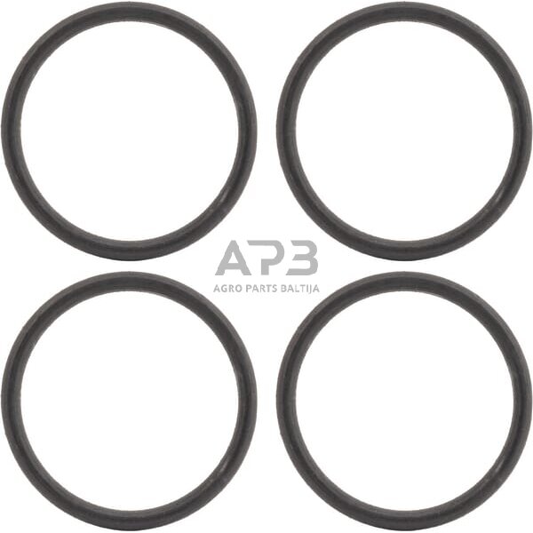 Stabdžių cilindro remontinis komplektas Valeo 9883015 4