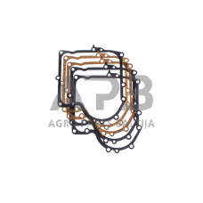 Tarpinių komplektas Briggs & Stratton 25,28 vertikaliems varikliams, 10AG, 10.5AG, 11.5AG, 12.5AG, 13AG, 490525, 494241