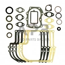 Tarpinių komplektas Briggs & Stratton 299577