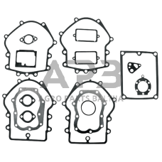 Tarpinių komplektas Briggs & Stratton 491856, 495868