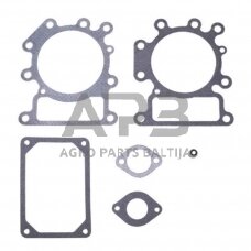 Tarpinių komplektas Briggs & Stratton 690190, 794152