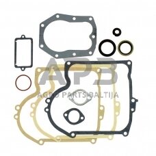 Tarpinių komplektas Briggs & Stratton 393411