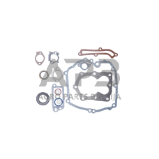 Tarpinių komplektas Briggs & Stratton Quantum 12 CID vertikaliems varikliams 493263, 496117, 497316