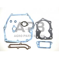 Tarpinių komplektas Briggs & Stratton Quantum 493263, 496117, 497316