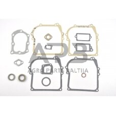Tarpinių komplektas Briggs & Stratton varikliams, 3AG, 3.5AG - 4.5AG. Classic, Sprint, Quattro. Serija 450, 500, 298989, 699933, 590777, 794209