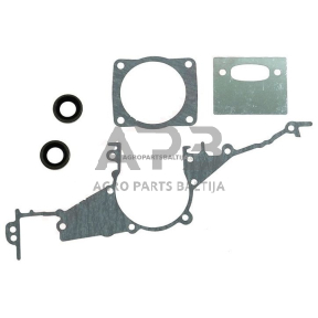 Tarpinių komplektas Briggs & Stratton 297275, 397144, 495602