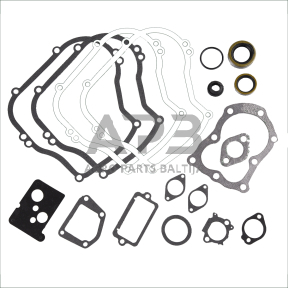 Tarpinių komplektas Briggs & Stratton 297616, 496659