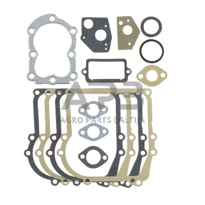 Tarpinių komplektas Briggs & Stratton 297275, 397144, 495602
