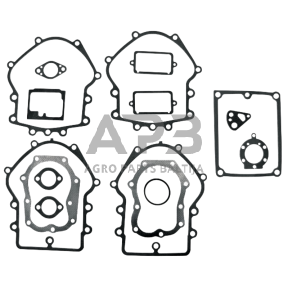 Tarpinių komplektas Briggs & Stratton 491856, 495868