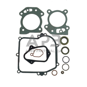 Tarpinių komplektas Briggs & Stratton 595350, 592640, 590590