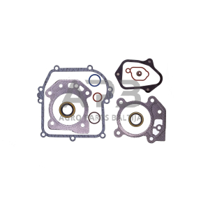 Tarpinių komplektas Briggs & Stratton 595350, 592640, 590590