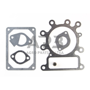 Tarpinių komplektas Briggs & Stratton 691581, 795807, 796189