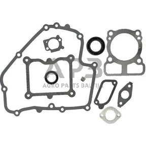 Tarpinių komplektas Briggs & Stratton 793623