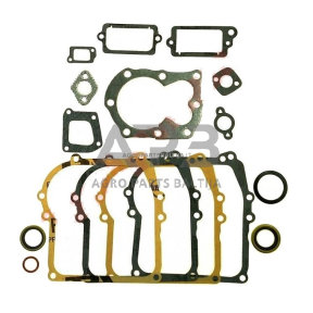 Tarpinių komplektas Briggs & Stratton 699933