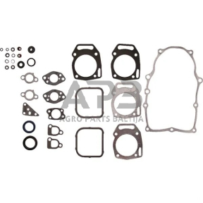 Tarpinių komplektas Briggs & Stratton 841188