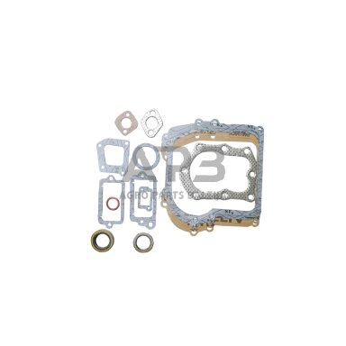 Tarpinių komplektas Briggs & Stratton varikliams, 3AG, 3.5AG - 4.5AG. Classic, Sprint, Quattro. Serija 450, 500, 298989, 699933, 590777, 794209