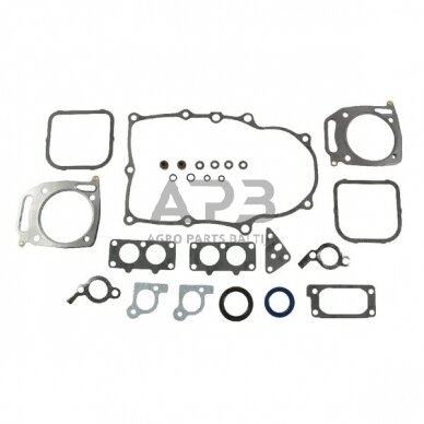 Tarpinių komplektas Briggs & Stratton 842658, 808617