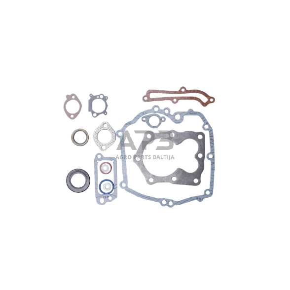 Tarpinių komplektas Briggs & Stratton Quantum 12 CID vertikaliems varikliams 493263, 496117, 497316 1