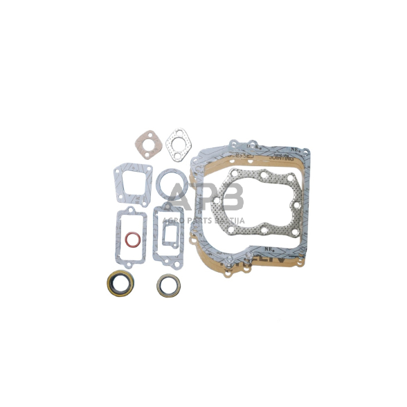 Tarpinių komplektas Briggs & Stratton varikliams, 3AG, 3.5AG - 4.5AG. Classic, Sprint, Quattro. Serija 450, 500, 298989, 699933, 590777, 794209 1