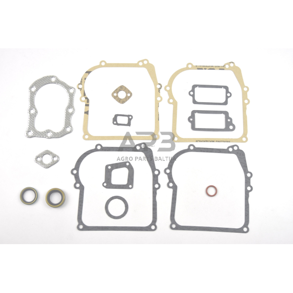 Tarpinių komplektas Briggs & Stratton varikliams, 3AG, 3.5AG - 4.5AG. Classic, Sprint, Quattro. Serija 450, 500, 298989, 699933, 590777, 794209 Tarpinių komplektas Briggs & Stratton varikliams, 3AG, 3.5AG - 4.5AG. Classic, Sprint, Quattro. Serija 450, 500, 298989, 699933, 590777, 794209