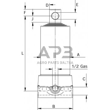 Teleskopinis cilindras Di Natale-Bertelli TC2636F 3 Teleskopinis cilindras Di Natale-Bertelli TC2636F 3