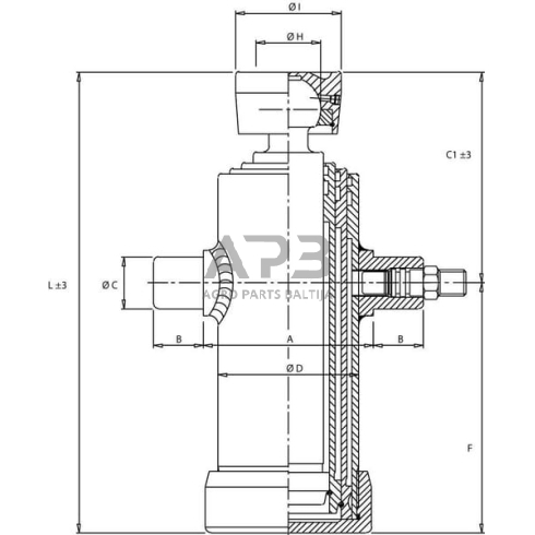 Teleskopinis cilindras Di Natale-Bertelli TC2036F 1 Teleskopinis cilindras Di Natale-Bertelli TC2036F 1