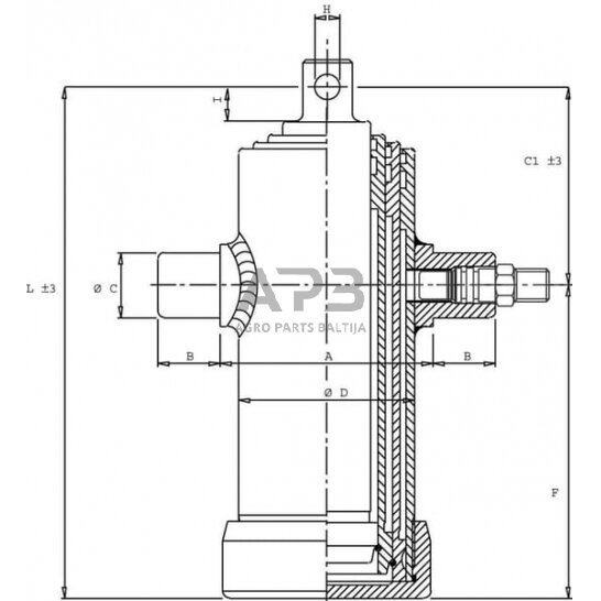 Teleskopinis cilindras Di Natale-Bertelli TC2034F 1 Teleskopinis cilindras Di Natale-Bertelli TC2034F 1