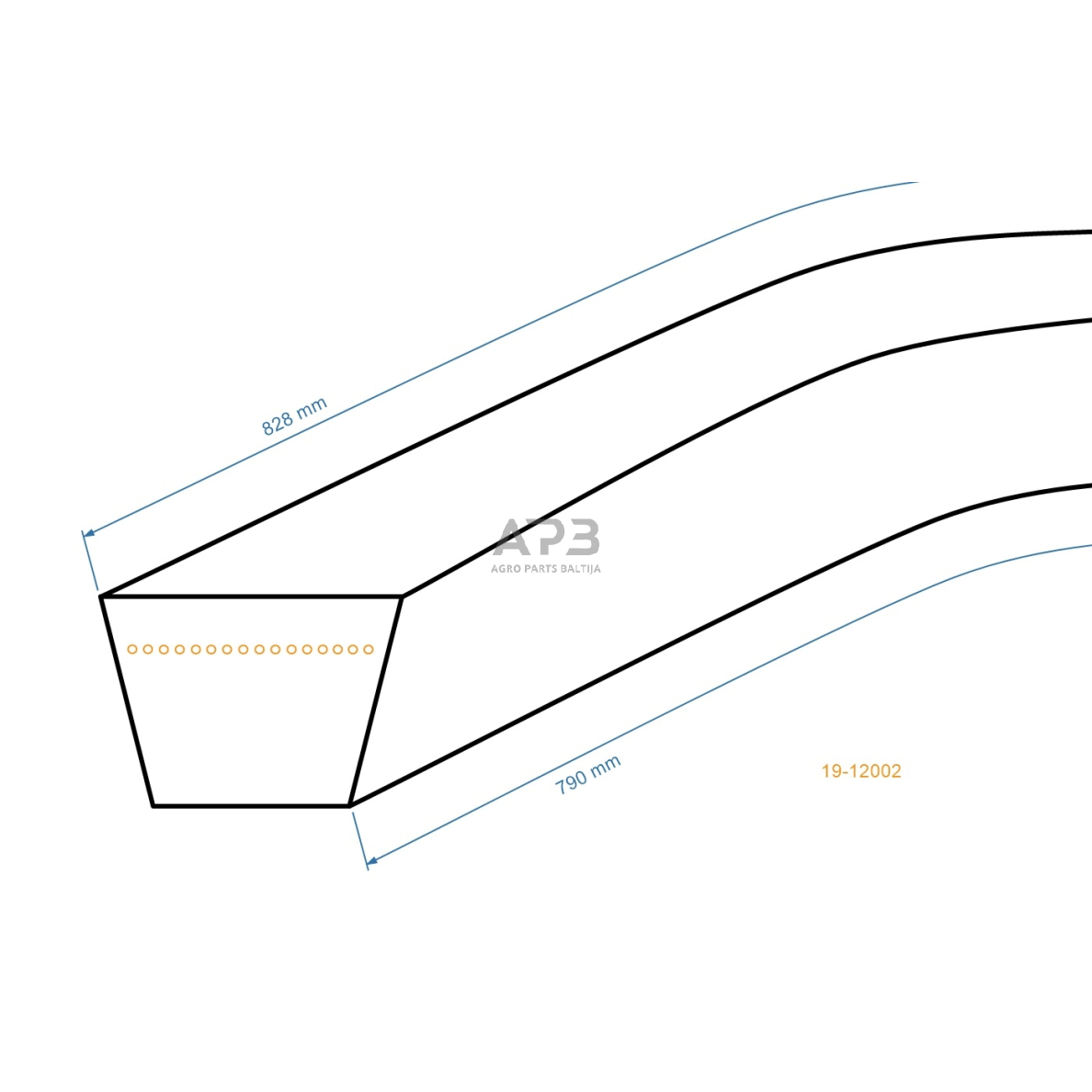 Trapecinis eigos diržas NAC NGP S510 Z31 10x790mm Li, 10x828mm La 1 Trapecinis eigos diržas NAC NGP S510 Z31 10x790mm Li, 10x828mm La 1