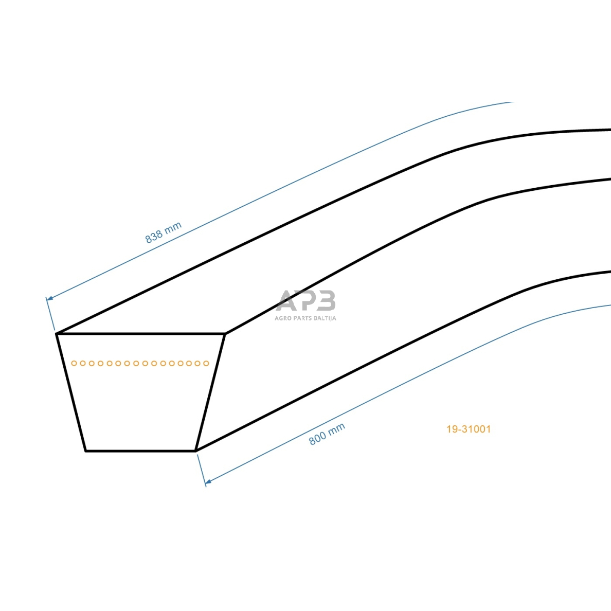 Trapecinis eigos diržas NAC WR6503 WR6511 WR6519 WR6536 WR650112 DAYE DYM 1578 DYM 1578K Z31,5 10x800mm Li, 10x838mm La 1