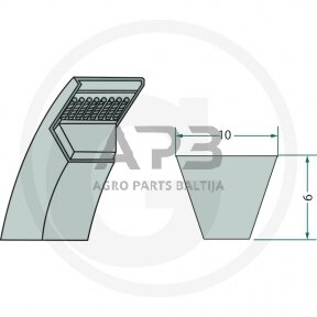 Trapecinis diržas Z44 10x1120mm Li, 10x1158mm La