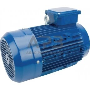 Trifazis elektros variklis su flanšu B14 3 kW 4 poliai (1500 aps./min.) EM100LB4B14500IE3A