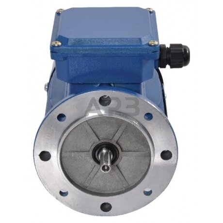 Trifazis elektros variklis su flanšu B5 0.09 kW 4 poliai (1500 aps./min.) EM56B4B5300IE1AKR 2 Trifazis elektros variklis su flanšu B5 0.09 kW 4 poliai (1500 aps./min.) EM56B4B5300IE1AKR 2