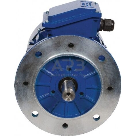 Trifazis elektros variklis su flanšu B5 2,2 kW 4 poliai (1500 aps./min.) IE3 EM100LA4B5300IE3A 1 Trifazis elektros variklis su flanšu B5 2,2 kW 4 poliai (1500 aps./min.) IE3 EM100LA4B5300IE3A 1