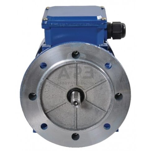 Trifazis elektros variklis su flanšu B3-B5 0,55 kW 2 poliai (3000 aps./min.) IEFF2/1E1 EM71B2B3B5300IE2A 2 Trifazis elektros variklis su flanšu B3-B5 0,55 kW 2 poliai (3000 aps./min.) IEFF2/1E1 EM71B2B3B5300IE2A 2