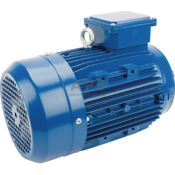 Trifazis elektros variklis su flanšu B14 2,2 kW 4 poliai (1500 aps./min.) EM100LA4B14300IE3A 1 Trifazis elektros variklis su flanšu B14 2,2 kW 4 poliai (1500 aps./min.) EM100LA4B14300IE3A 1