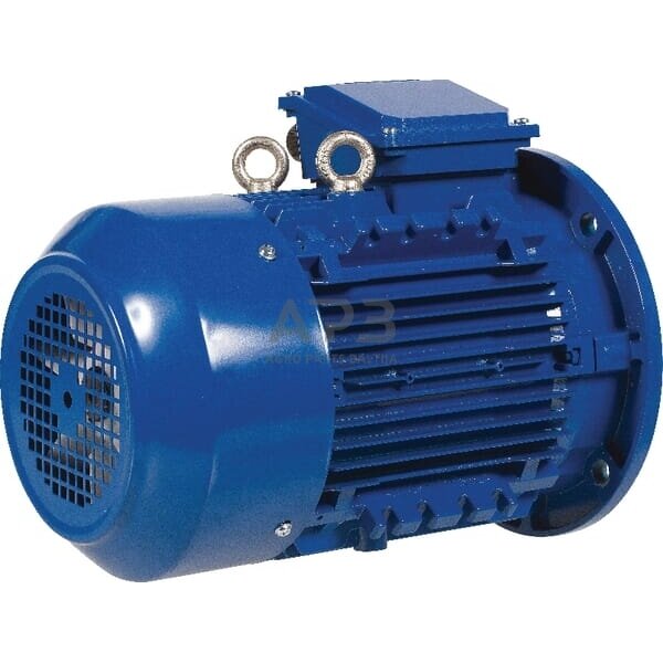 Trifazis elektros variklis su flanšu B5 1.1 kW 6 poliai (1000 aps./min.) EM90L6B5300IE3AKR 1 Trifazis elektros variklis su flanšu B5 1.1 kW 6 poliai (1000 aps./min.) EM90L6B5300IE3AKR 1