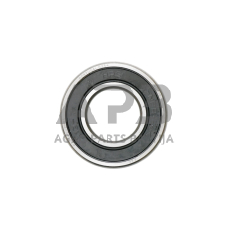 Universalus guolis 6205-2RS